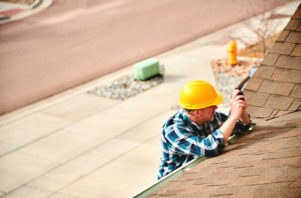 Best Roof Gutter Cleaning  in Carlisle Rockledge, AL