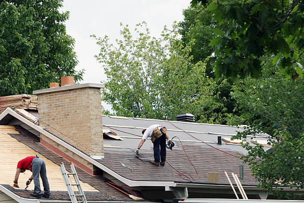 Best Roof Gutter Cleaning  in Carlisle Rockledge, AL
